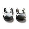 Natural Black Lip Shell Beads SHEL-G014-06A-2