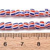 Handmade Lampwork Beads Strands BLOW-K001-01B-13-2