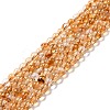 Heated Natural Citrine Bead Strands X-G-P466-01D-1