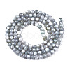 Natural Freshwater Shell Beads Strands X-BSHE-T009A-01K-2