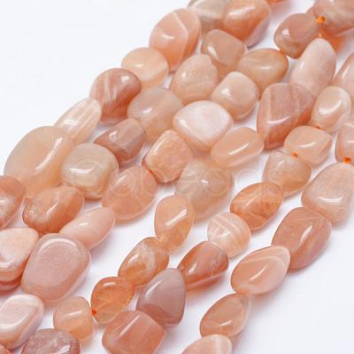 Natural Sunstone Beads Strands G-K203-11B-1