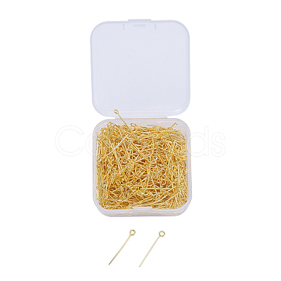 Iron Eye Pin IFIN-YW0001-10G-1