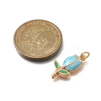 Alloy Enamel Pendants PALLOY-JF04388-1