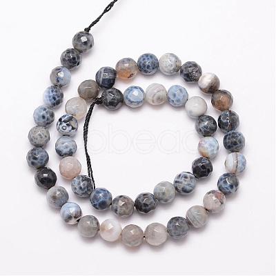 Natural Fire Crackle Agate Bead Strands G-K166-07F-8mm-05-1