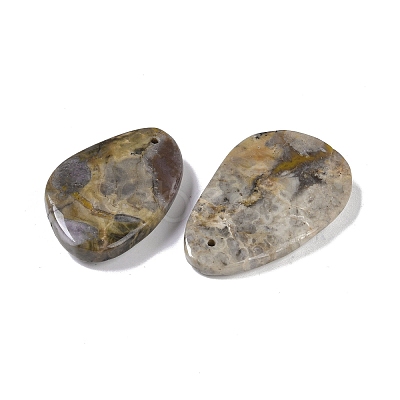 Natural Fossil Pendant G-Q164-16-1