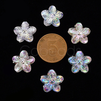Transparent Acrylic Beads TACR-S154-45C-205-1