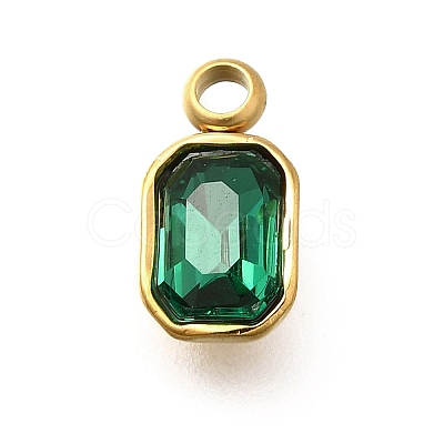 304 Stainless Steel Pendants STAS-Q346-03G-08-1