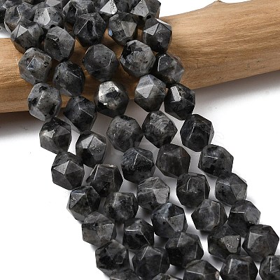 Natural Larvikite Beads Strands G-Z119-A32-03-1