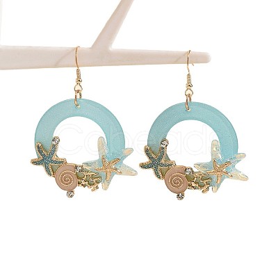 Alloy Enamel Dangle Earrings WGF042D-01-1
