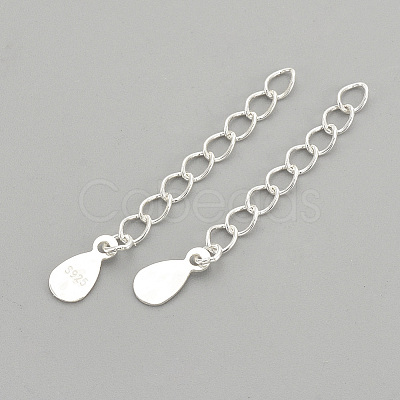 925 Sterling Silver Twisted Extender Chains LS-STER-S002-33-1