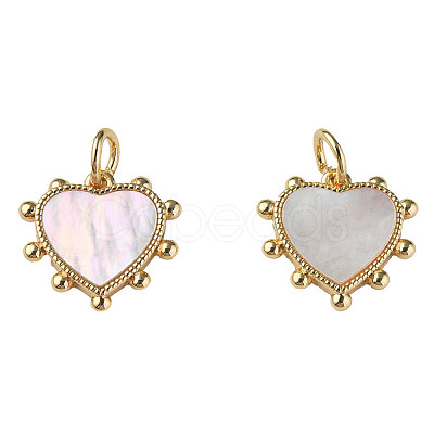 Natural Shell Charms X-KK-N233-210-1