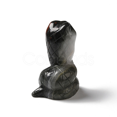 Natural Bloodstone Display Decoration G-C028-01B-1
