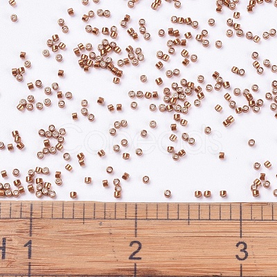 MIYUKI Delica Beads SEED-J020-DB0421-1