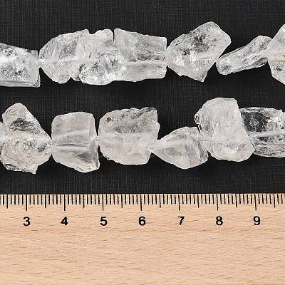 Natural Quartz Crystal Beads Strands G-Q023-A02-01-1