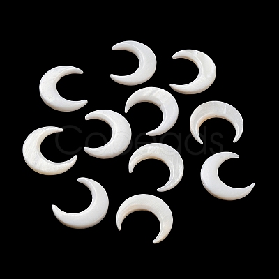 Natural Freshwater Shell Beads SHEL-H003-05-1