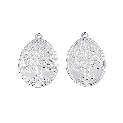 Non-Tarnish 201 Stainless Steel Pendants STAS-T063-188P-1