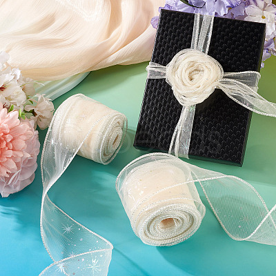 Polyester Deco Mesh Ribbons OCOR-TAC0024-004F-1