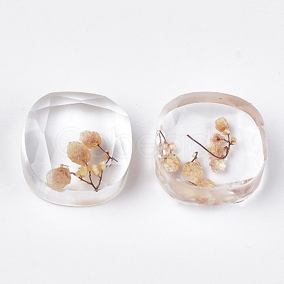 Resin Cabochons CRES-T014-13G-1