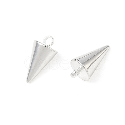 304 Stainless Steel Pendants STAS-G214-47S-02-1