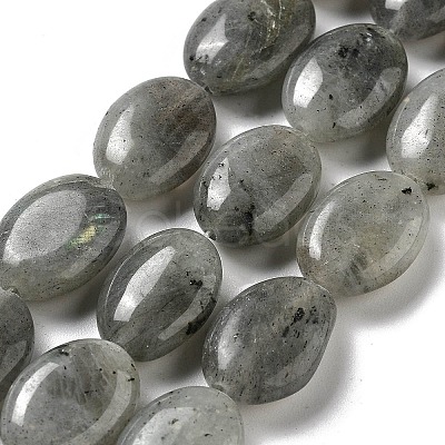 Natural Labradorite Beads Strands G-P528-M10-01-1