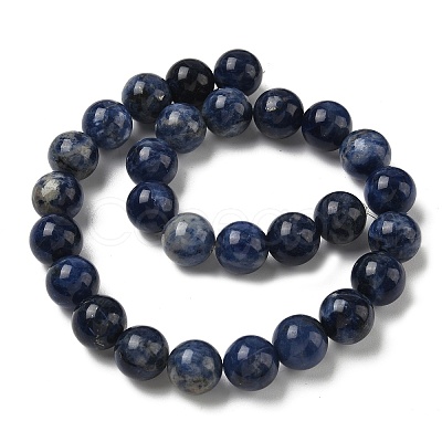 Round Natural Sodalite Beads Strands G-F222-39-14mm-1