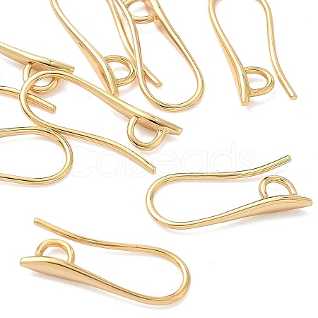 SHEGRACE Brass Earring Hooks XGR0003G-42G-1