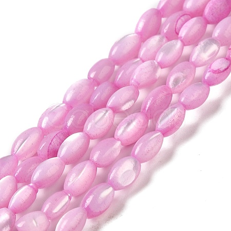 Natural Trochus Shell Beads Strands X-SHEL-K006-19A-1