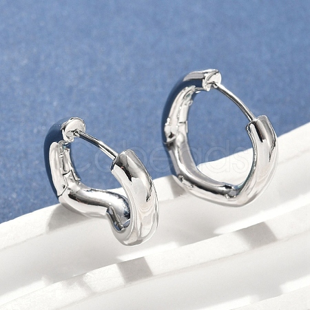 Brass Hoop Earrings EJEW-D320-12P-1