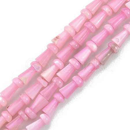 Natural Freshwater Shell Beads Strands SHEL-G013-02A-1