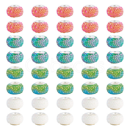 100Pcs Large Hole Resin European Beads OPDL-TA0001-06C-1