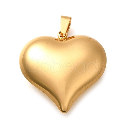 304 Stainless Steel Pendants STAS-H200-01G-03-1