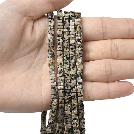 Natural Dalmatian Jasper Beads Strands G-A280-C07-01-1