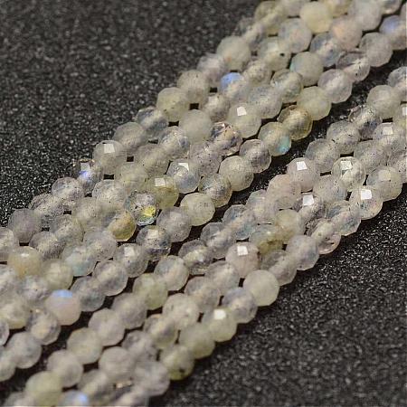 Natural Labradorite Beads Strands G-K182-2mm-25B-1