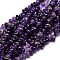 Natural Amethyst Chip Beads Strands, 4~14x4~12mm, Hole: 1mm, about 15.3 inch~16.1 inch