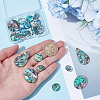 18Pcs 4 Styles Natural Paua Shell Cabochons SHEL-WR0001-10-3