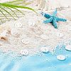 26Pcs 26 Style 
Natural Freshwater Shell Charms SHEL-FH0001-12-4