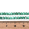 Natural Freshwater Shell Beads Strands BSHE-T009A-01J-4