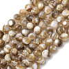 Natural Freshwater Shell Beads Strands SHEL-K006-71A-1