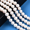 Natural Cultured Freshwater Pearl Beads Strands X-PEAR-N013-17N-01-2