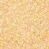 12/0 FGB Grade A Round Glass Seed Beads SEED-Q010-M534-2