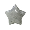 Natural Labradorite Home Display Decorations G-PW0007-124G-1