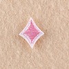 Computerized Embroidery Cloth Iron on/Sew on Patches DIY-F038-F10-1