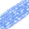 Transparent Glass Beads Strands EGLA-A044-T2mm-MB14-1
