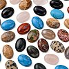 Gemstone Cabochons X-G-H1596-18x13x5mm-M-4