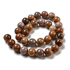 Natural Petrified Wood Round Bead Strands X-G-F266-08-8mm-4
