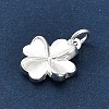 925 Sterling Silver Charms LS-FIND-Z069-04S-C-3