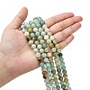 Natural Flower Amazonite Beads Strands Z26N5017-5