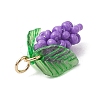 Glass Seed Beaded Grape Pendants PALLOY-MZ00467-02-4