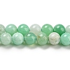 Natural Chrysoprase Beads Strands G-P503-6MM-03-4
