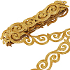 Iron on/Sew on Polyester Embroidery Auspicious Clouds Lace Ribbon OCOR-WH20020-06A-1